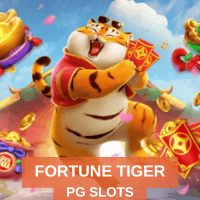 Fortune tiger Fortune tiger